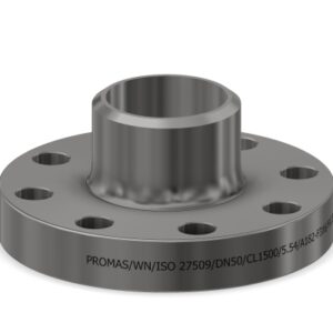 NCF5-WN-IX-DN50-CL1500-SCH80